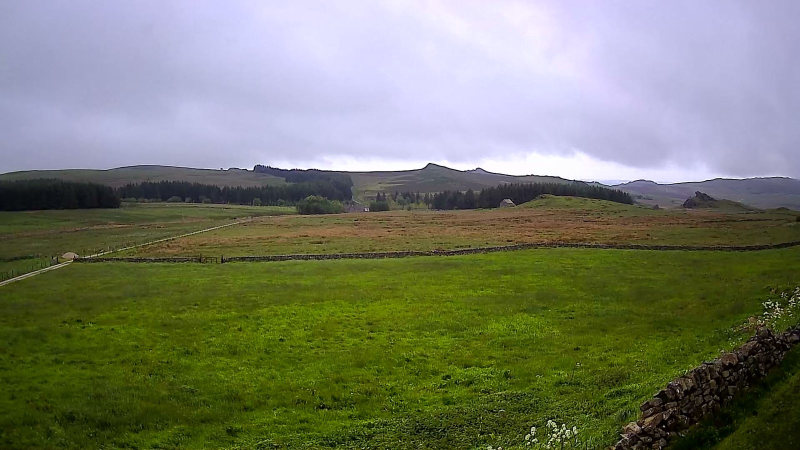 Stacks Image 339